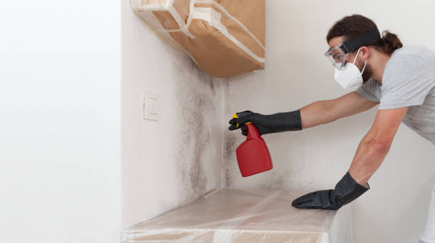 Professional Bathroom Mold Removal technician working in Willowbrook, IL