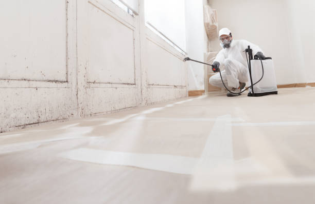 24/7 Emergency Bathroom Mold Removal experts in Willowbrook, IL